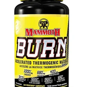 Mammoth Burn